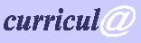 Servei d'Investigaci�